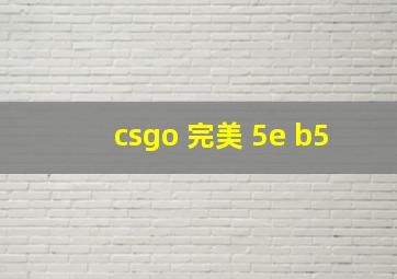 csgo 完美 5e b5